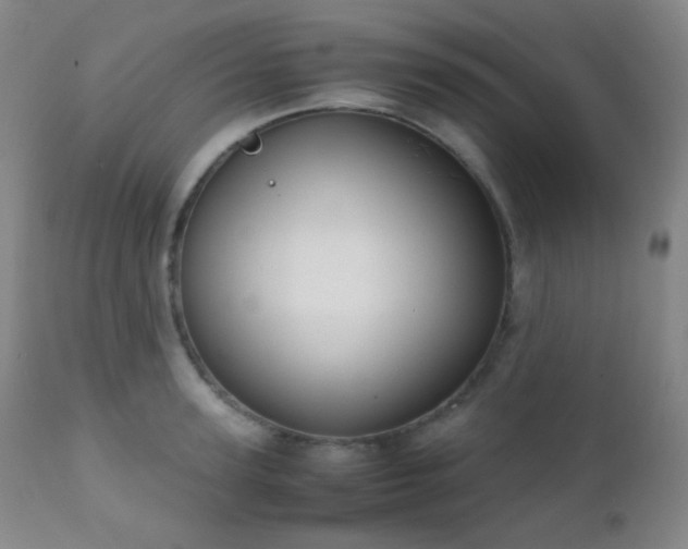 X0000111150947200906301334