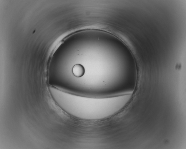 X0000111150948200906301334