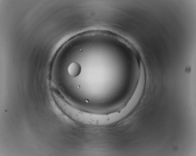 X0000111150950200906301334
