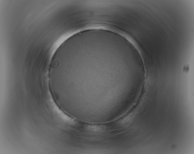 X0000111150951200906301334