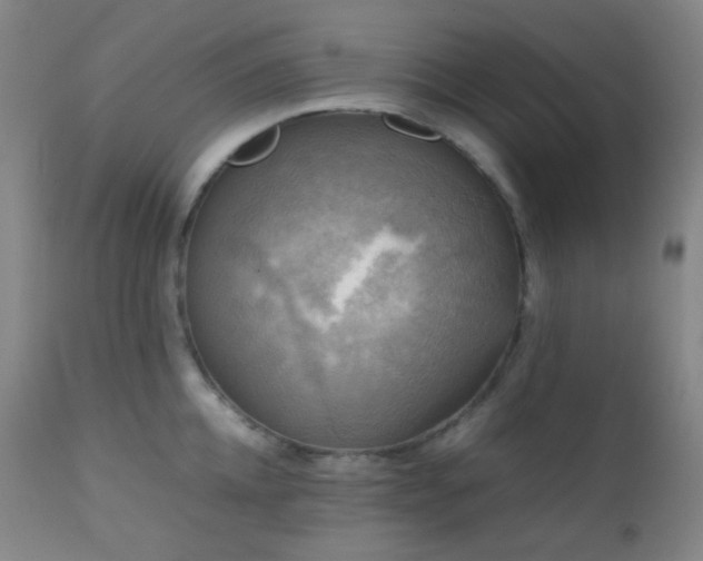 X0000111150952200906301334