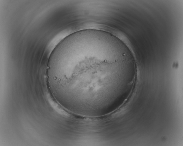 X0000111150954200906301334