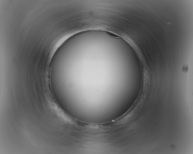 X0000111150956200906301334