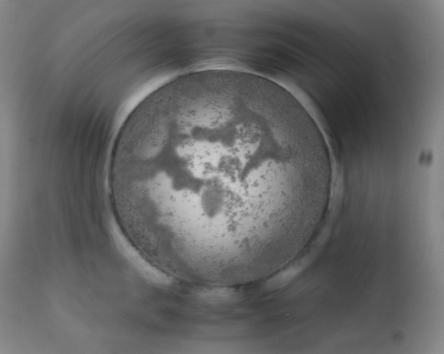 X0000111150957200906301334