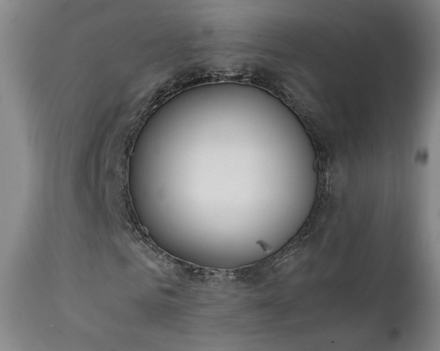 X0000111150961200906301334