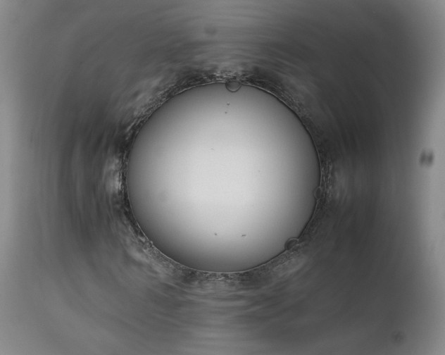 X0000111150962200906301334