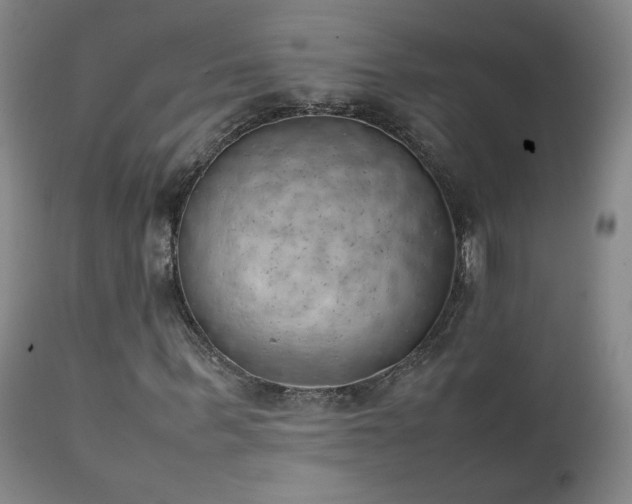 X0000111150963200906301334