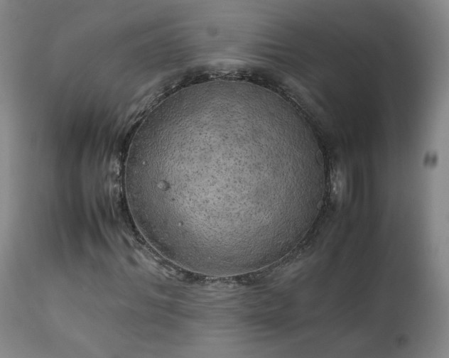 X0000111150964200906301333