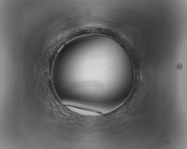 X0000111150965200906301333
