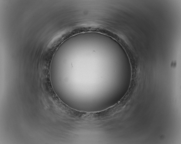 X0000111150967200906301333