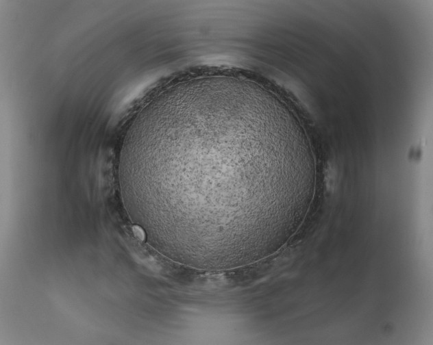X0000111150968200906301333