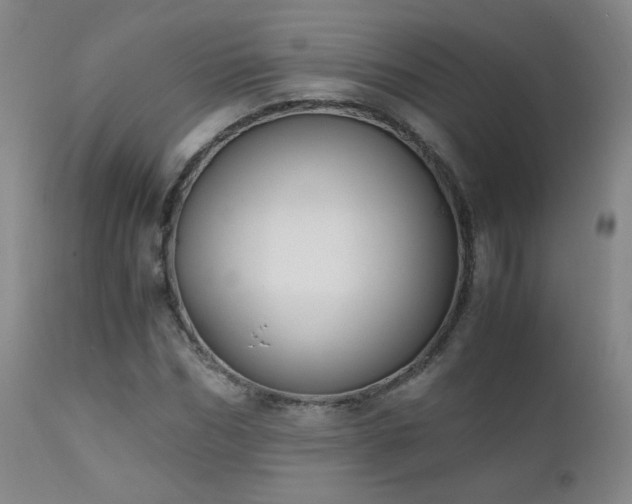X0000111150970200906301333