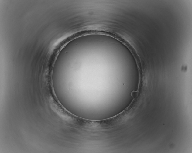 X0000111150971200906301333