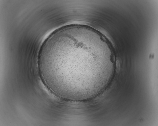 X0000111150972200906301333