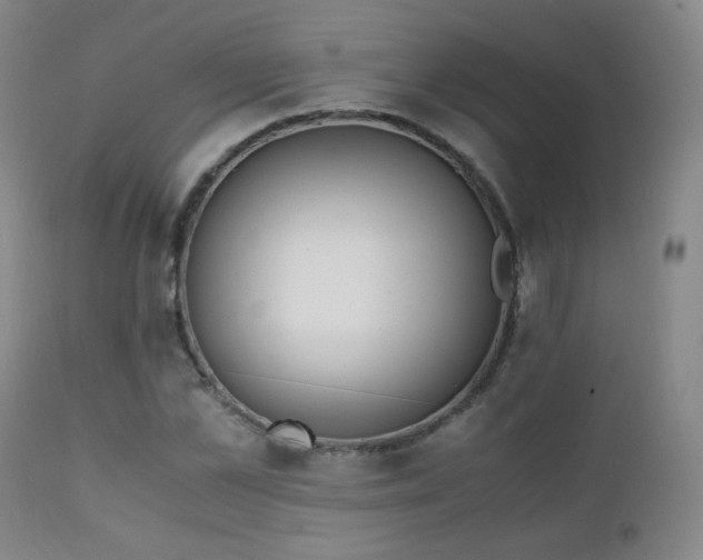 X0000111150973200906301333