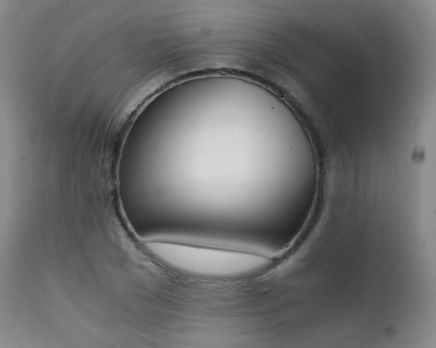 X0000111150977200906301333