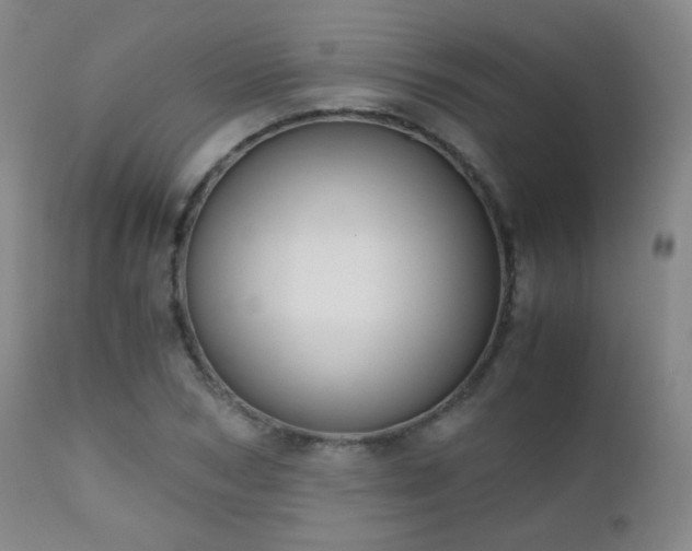 X0000111150978200906301333