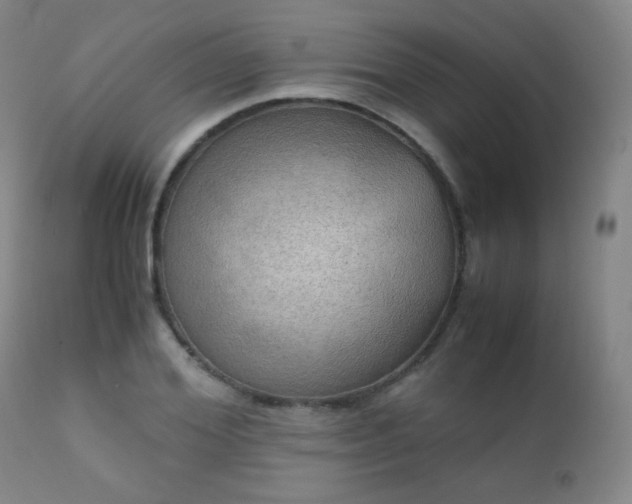 X0000111150980200906301333