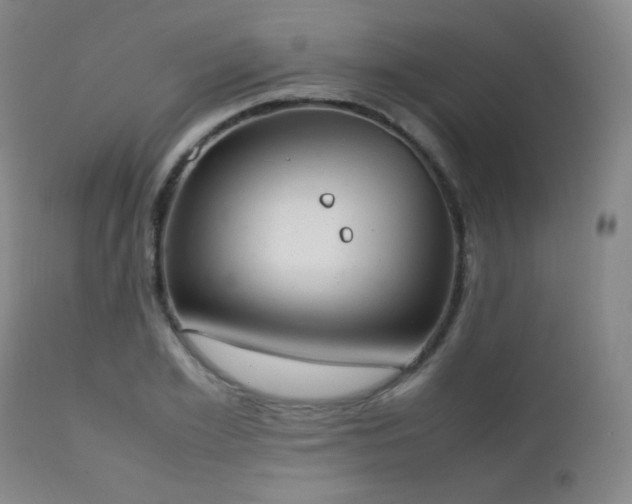 X0000111150981200906301333