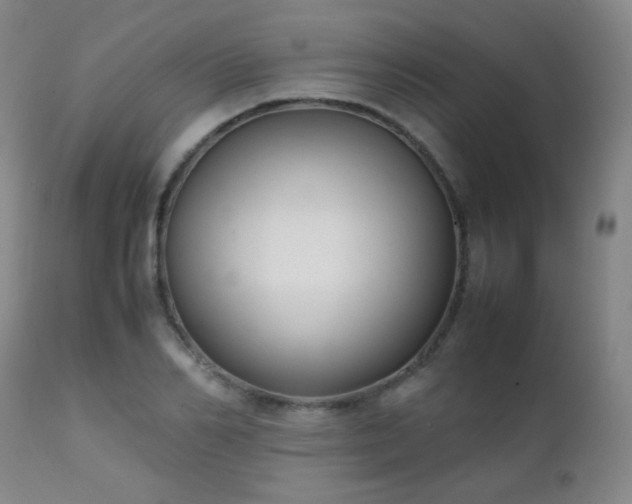 X0000111150982200906301333