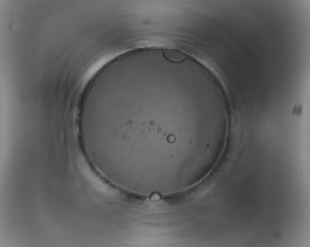 X0000111150983200906301333