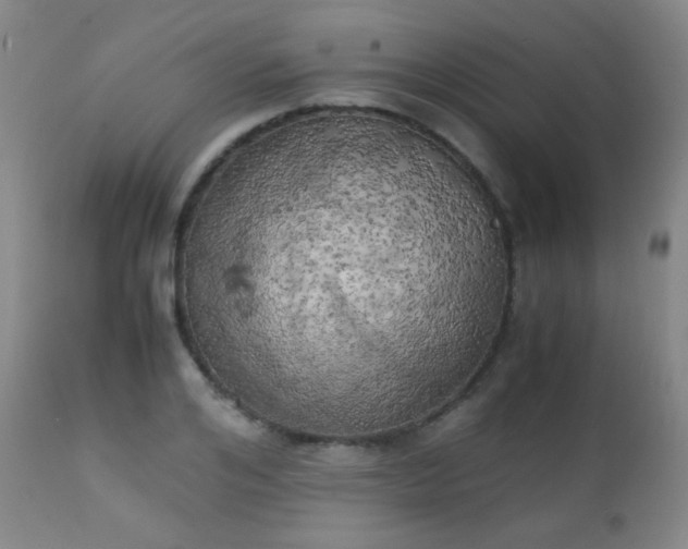 X0000111150984200906301333