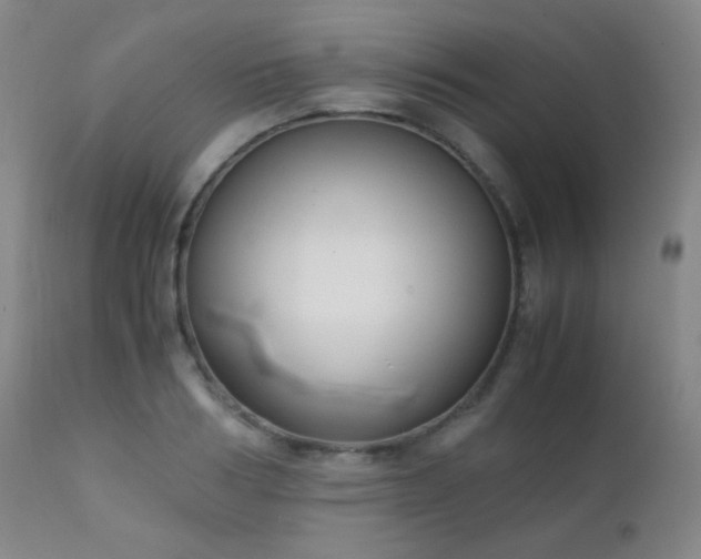 X0000111150986200906301333
