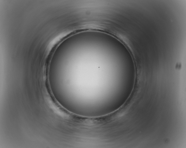 X0000111150987200906301333