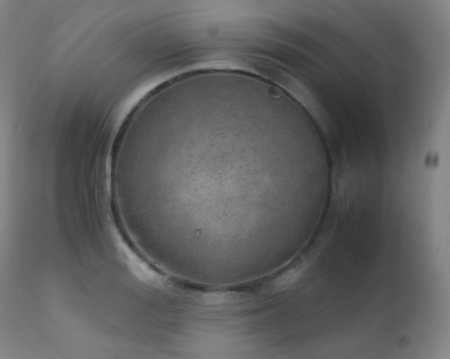 X0000111150988200906301333