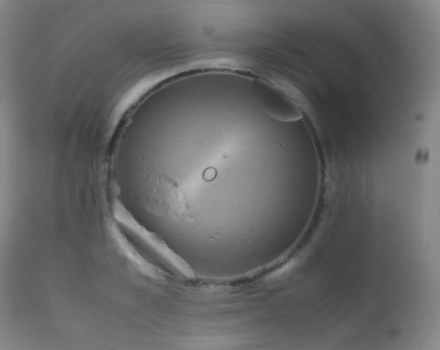 X0000111150989200906301333