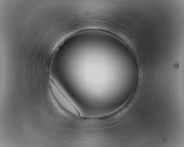 X0000111150993200906301333