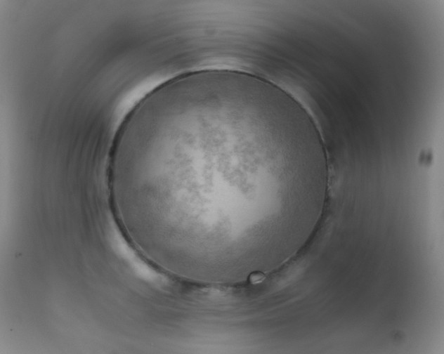 X0000111150995200906301333