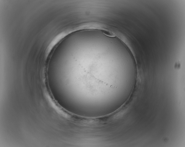 X0000111150997200906301333