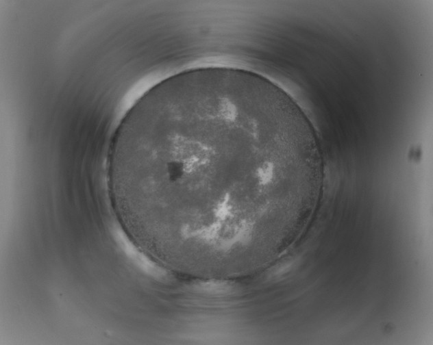 X0000111150998200906301333