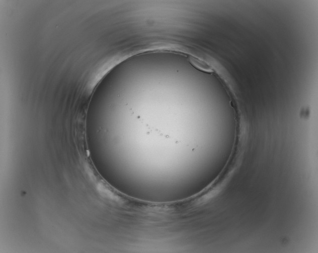 X0000111151001200906301333