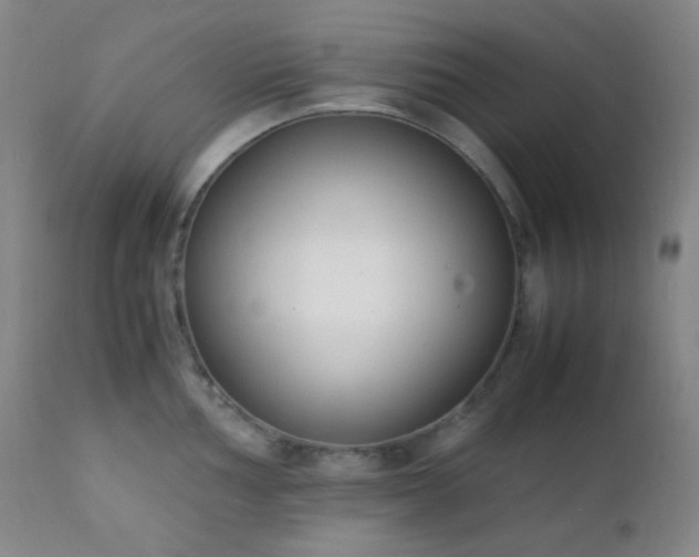 X0000111151002200906301333