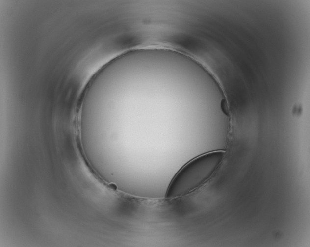 X0000111151003200906301333