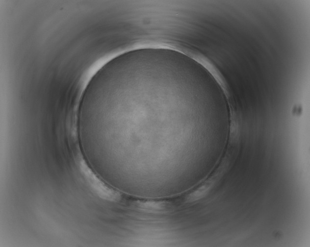 X0000111151004200906301333