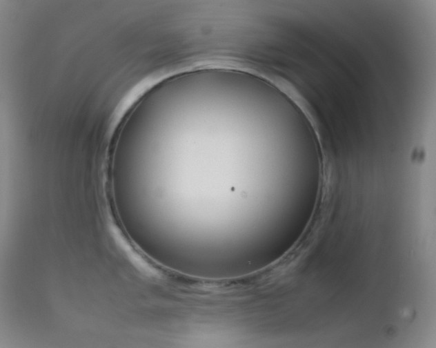 X0000111151005200906301333