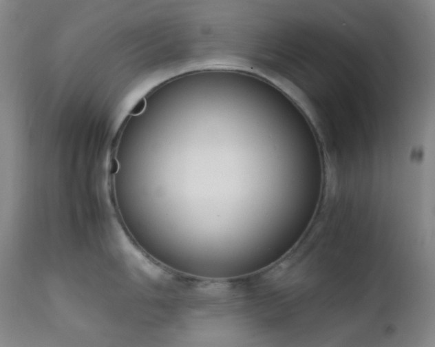 X0000111151006200906301333