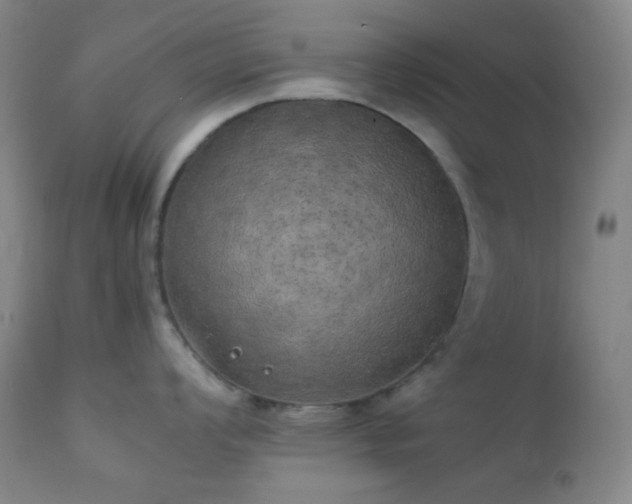 X0000111151008200906301333
