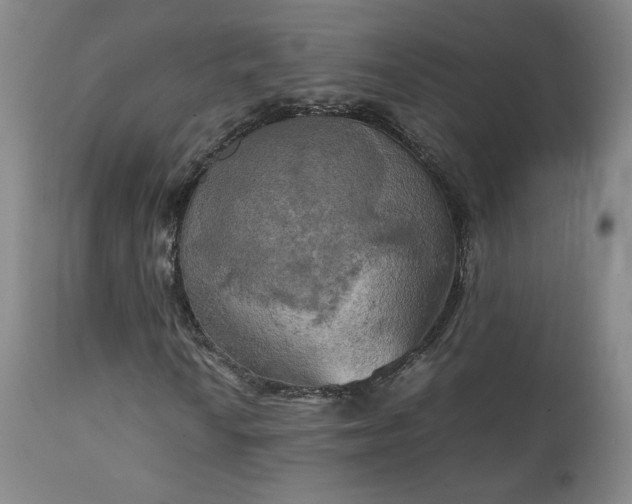 X0000111151010200906301332
