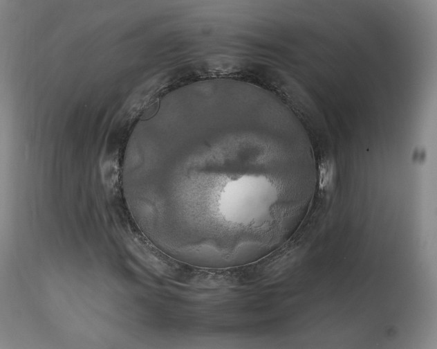 X0000111151011200906301332