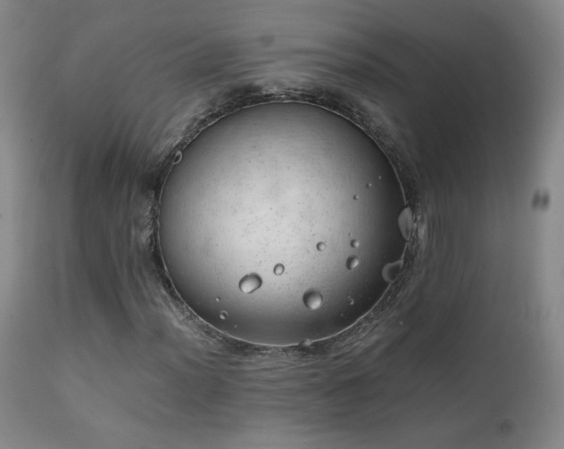 X0000111151012200906301332
