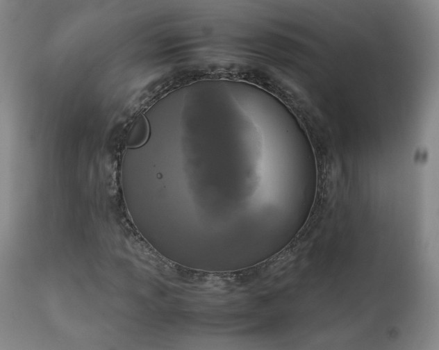 X0000111151013200906301332