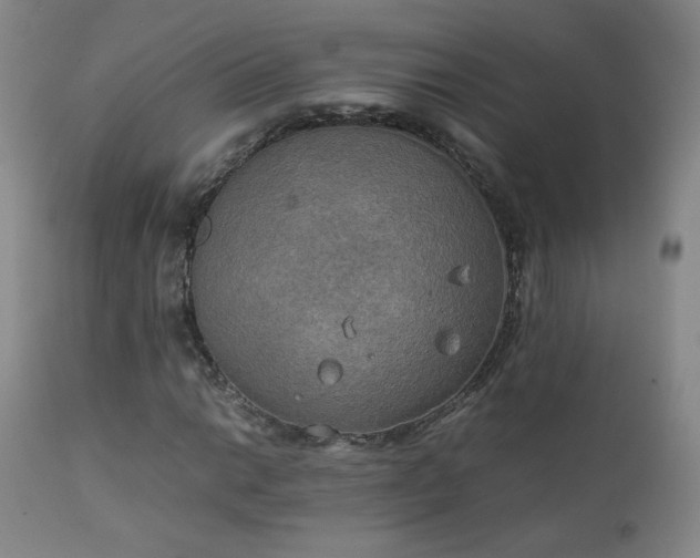 X0000111151014200906301332