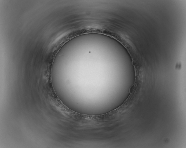 X0000111151015200906301332