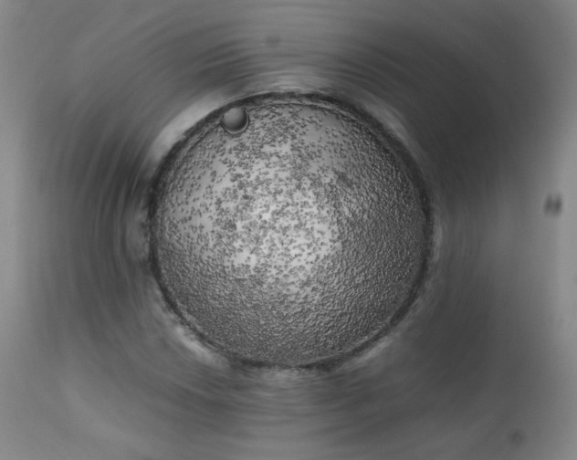 X0000111151018200906301332