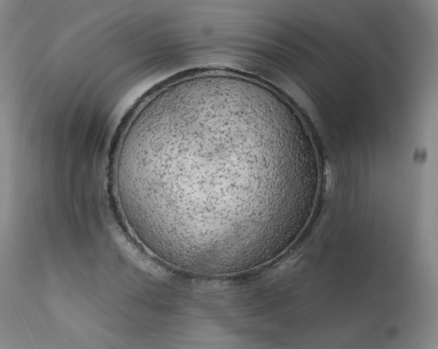 X0000111151020200906301332