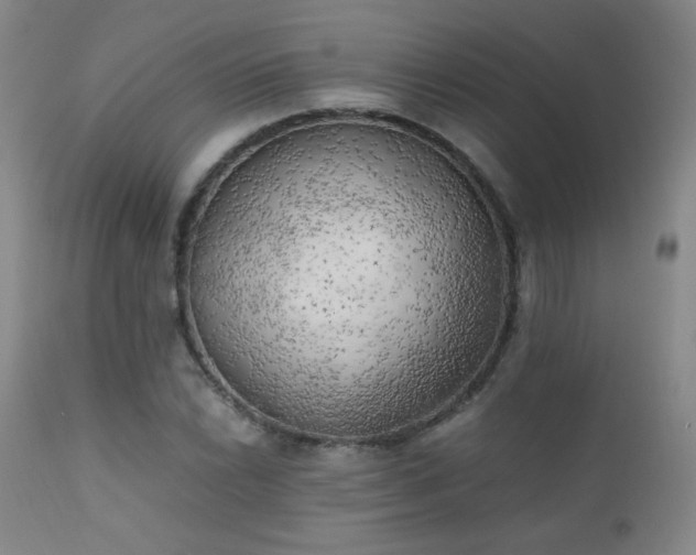 X0000111151022200906301332
